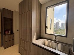 Klimt Cairnhill (D9), Apartment #459488961